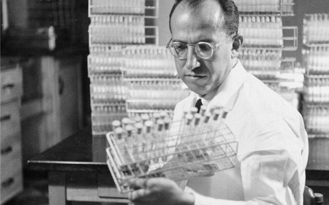 Dr Jonas Salk at work in his lab in 1954