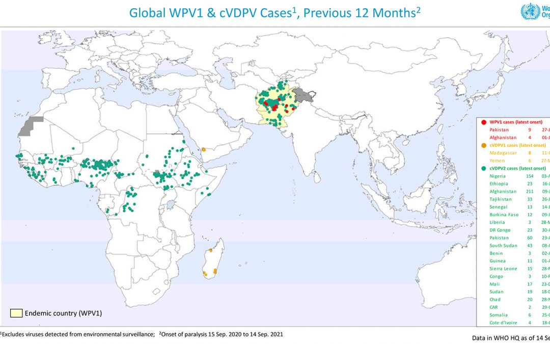 the last 12 months Wild Polio Cases Map