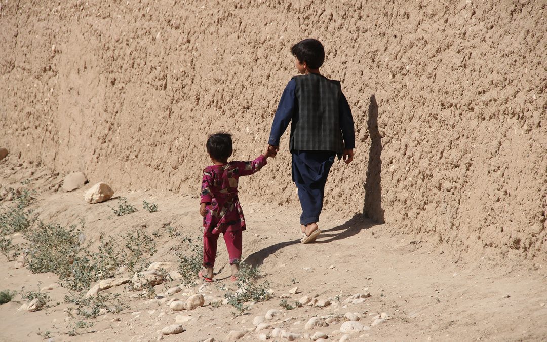 Polio home Immunizations returned to Afghanistan in the past month